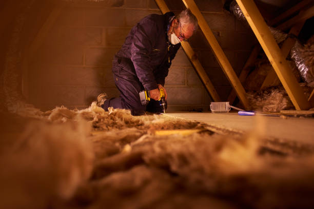 Best Eco-Friendly Insulation in Wadena, MN
